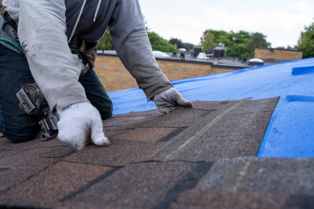 Best Commercial Roofing Services  in Kincaid, IL