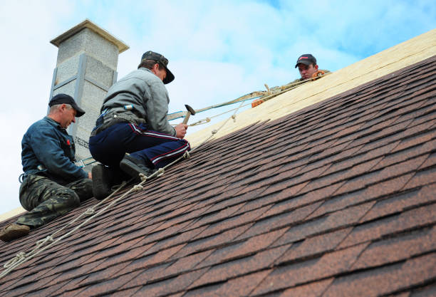 Best Roof Restoration Services  in Kincaid, IL